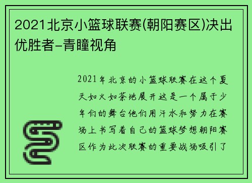 2021北京小篮球联赛(朝阳赛区)决出优胜者-青瞳视角